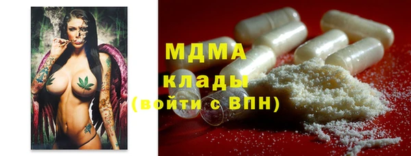 гидра Каменка