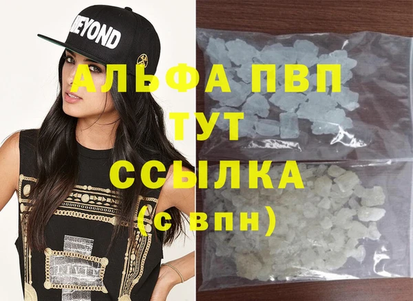 прущие грибы Карпинск