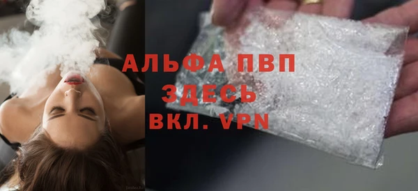 гидра Каменка