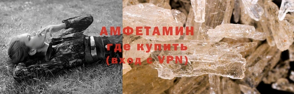 гидра Каменка