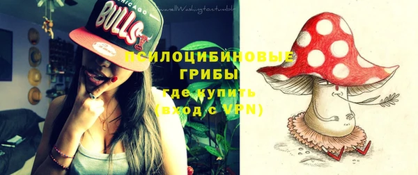 ALPHA PVP Каменск-Шахтинский