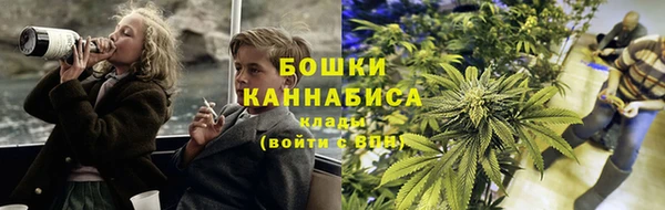 гидра Каменка