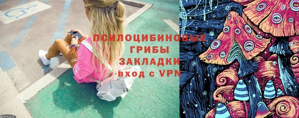 гидра Каменка