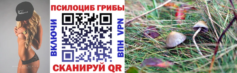 Псилоцибиновые грибы MAGIC MUSHROOMS  Кингисепп 