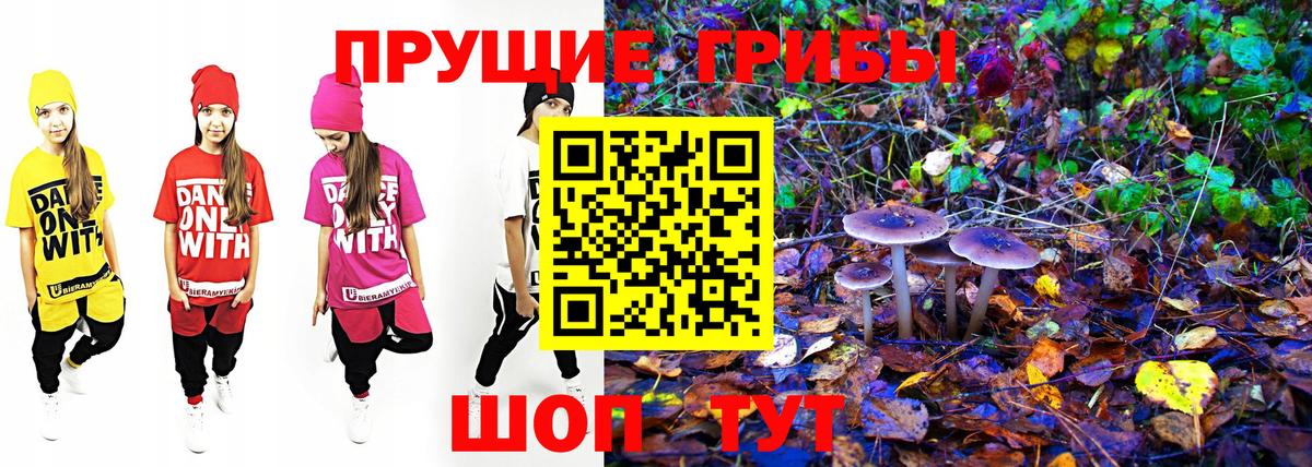 где купить наркоту  Галлюциногенные грибы MAGIC MUSHROOMS  Вход с VPN  Кингисепп 