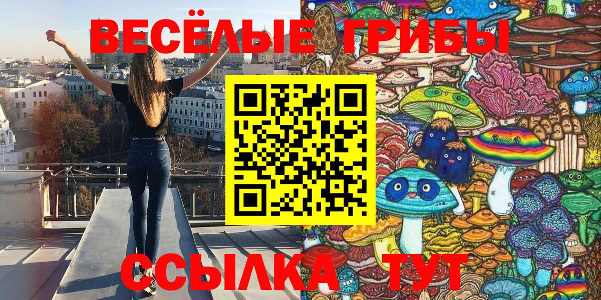 Псилоцибиновые грибы мицелий Кингисепп